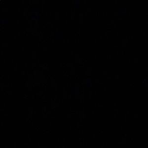 Meet your Posher, Jordyn